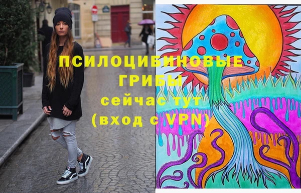 индика Корсаков