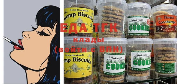 индика Корсаков