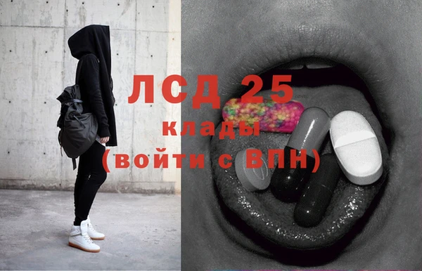 индика Корсаков
