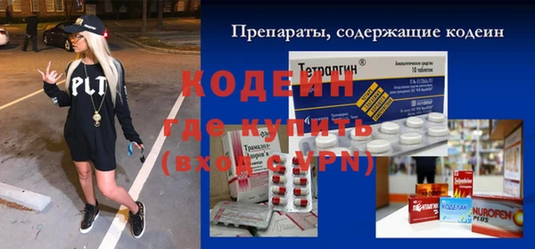 индика Корсаков