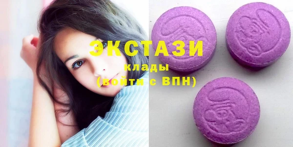 индика Корсаков