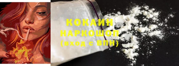 индика Корсаков