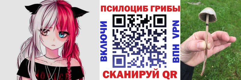 Галлюциногенные грибы мухоморы  Купить где  Мичуринск 