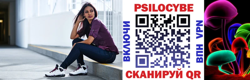 Псилоцибиновые грибы Psilocybe Мичуринск